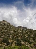 DSC01804