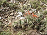 ABQ day5 025