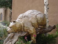 ABQ day5 055