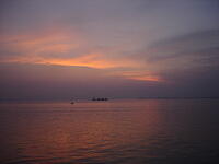 DSC03560