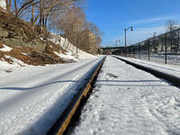IMG 6474