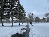 Chapin Park, February 5, 2021