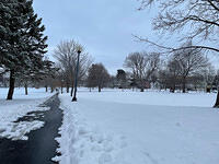 IMG 6376