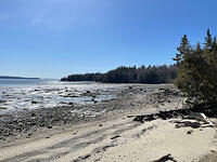 IMG 6655