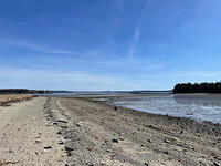 IMG 6656