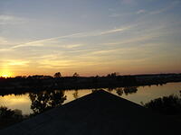 Kitten 015